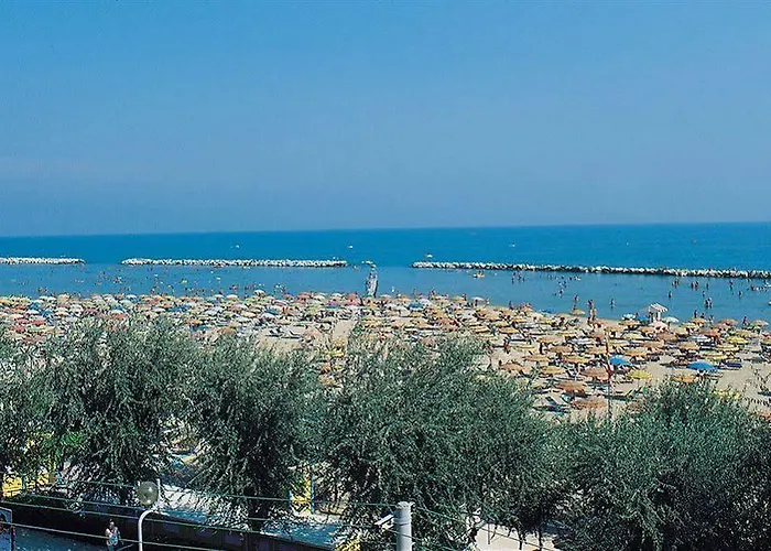 Amba Rimini